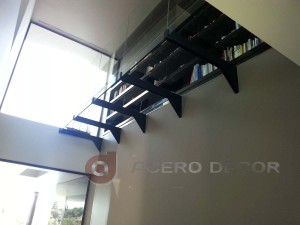 pasarela de acero y cristal II